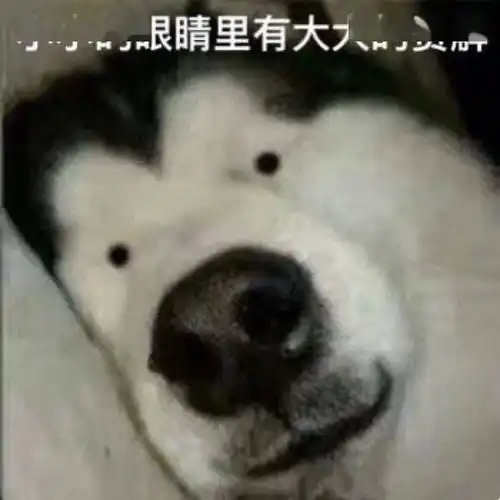 取名字能有多草率最后一个笑出猪叫
