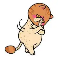 微信头像猫咪图片大全可黄色爱微信头像图片大全

