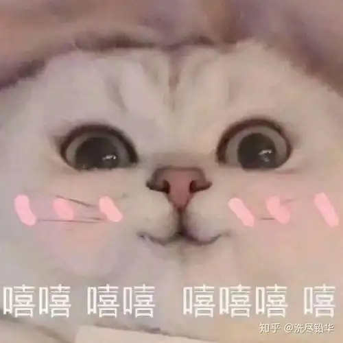 能以小姐暗卫管家的设定写篇甜文甜文甜文嘛
