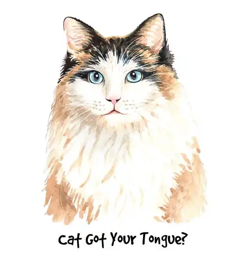 tempimageuhaxxq水彩手绘猫咪
