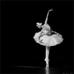 惊艳梦幻的舞者
