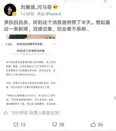 80后创业代表人物茅侃侃自杀身亡十年前采访视频谈及自杀创业与打工,哪个风险更大
