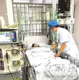 中国新闻网福建
