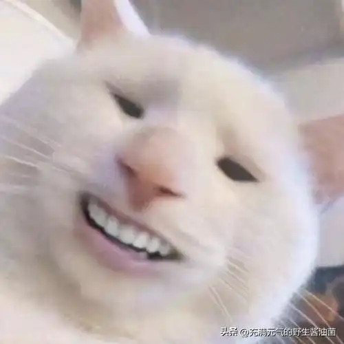 每日一笑老婆出差发了张酒店全身照,大家帮看看我有没有亮点
