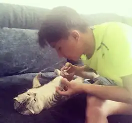 大明星怎么了照样做铲屎官
