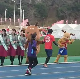 2017奈良马拉松赛事照片图片均来自官方网站
