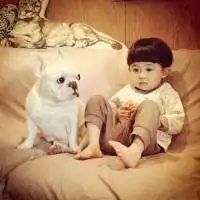 海不曾怀疑天的蓝
