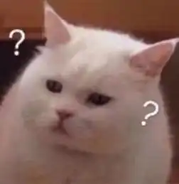 求此系列高清图猫问号
