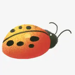 卡通手绘正在爬的七星瓢虫图片素材其他格式下载动漫人物大全
