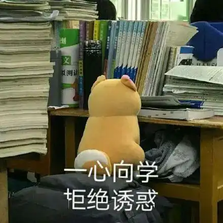 开学就是考试周当代大学生也太太太太难了
