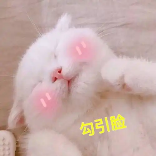 等更新
