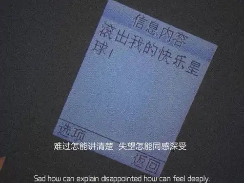 不属于你的花就别等它绽放了.特别抑郁的伤感文案
