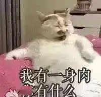 沙雕头像一看就知道病的不轻
