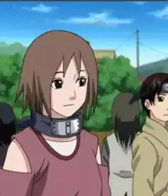 火影忍者,下一届五影,谁最有希望担任火影
