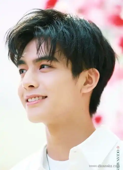 适合00后小男生的几款发型
