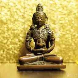 感谢大家,让我请到了第一尊佛像
