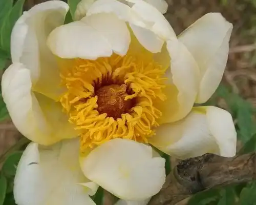 未来10天里,4属相得到贵人帮助,运势红火,生活富贵美满
