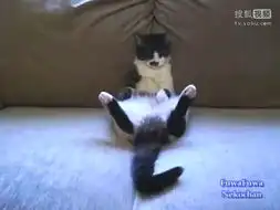 guimi的微博
