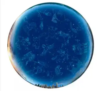 狮子座女生性格特点
