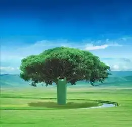 环保知识世界环境日
