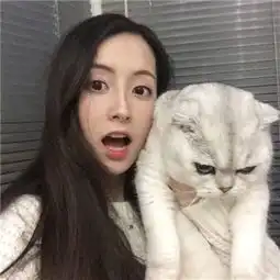 拉麻将胡了网页版官方登录入口
