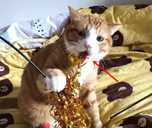 橘猫躲在床上偷吃被抓,不料被食物黏住了牙,这反应笑死主人了
