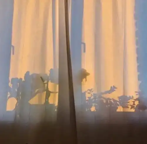 头像壁纸干净温柔,眼里有光
