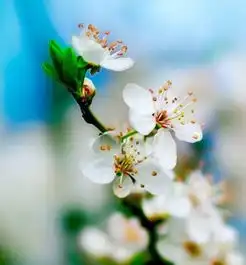 越老越有魅力,晚年更富贵的生肖女,老公宠爱有加,生活幸福精彩
