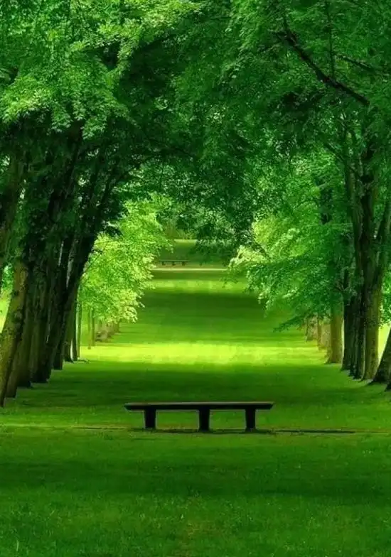 一场大病恍若重生,让我真正体会到,人生最该看透的是什么
