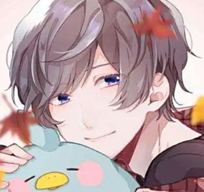 暖萌治愈风,愿得一人心,白首不分离
