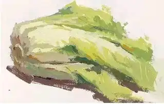 单体塑造蔬菜篇白菜西红柿大白菜营养均衡
