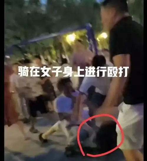 悔之晚矣老太与人冲突不敌,喊一家5口助力反被刑拘,恐祸小辈
