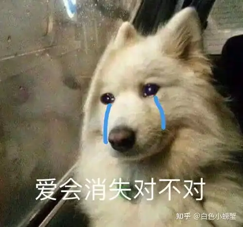 有什么防脱发洗发水推荐吗
