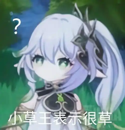 小草神纳西妲的表情包哦
