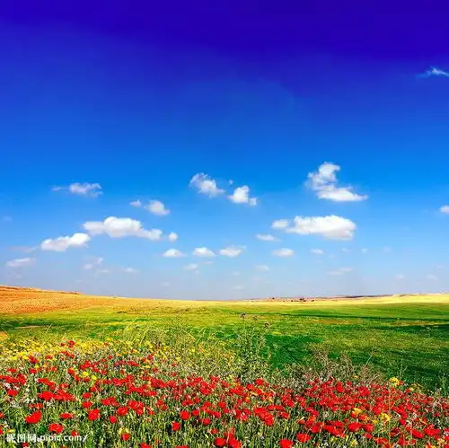 知行易道明年才能怀孕生子的生肖
