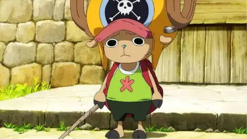 海贼王暴走乔巴的实力应该给多少悬赏金
