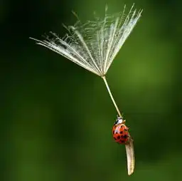 要放得下也要提得起
