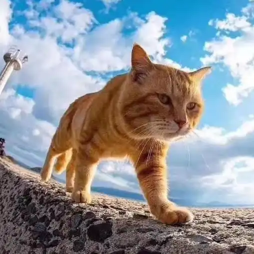 城缘相亲博兴在线旗下高端婚恋服务品牌
