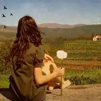只能留背影了
