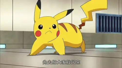 精灵宝可梦小智叫皮卡丘找到手提箱把神奇宝贝们都救出来

