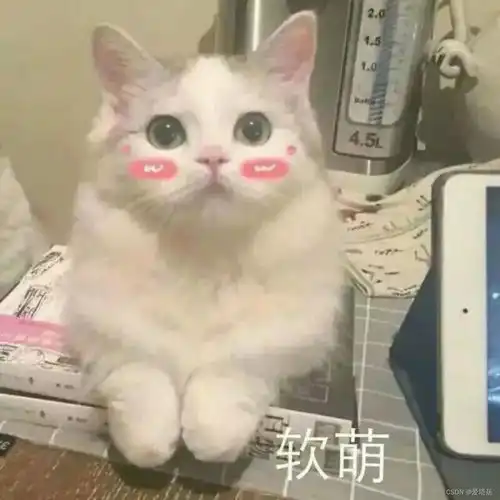 mysql数据库总结
