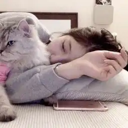 女生头像beautiful韩国
