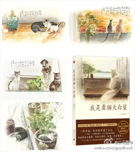公元图书的广播
