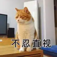 不忍直视的表情包微信头像图片大全
