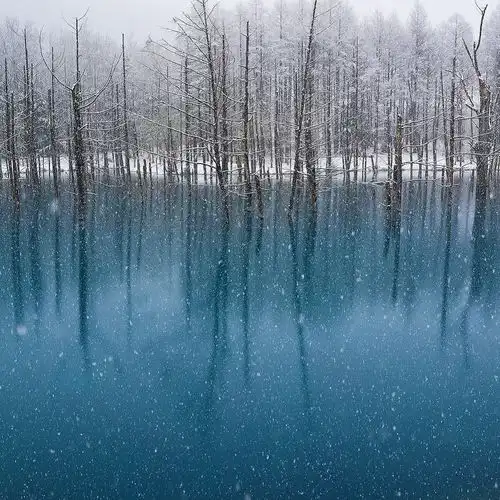 你是我抽了一晚的烟也是我回不去的从前小奶瓶虞姬2高音质在线试听你是我抽了一晚的烟也是我回不去的从前歌词歌曲下载酷狗音乐
