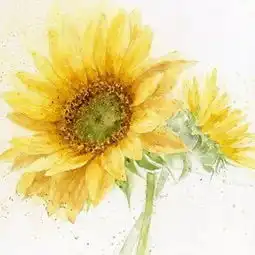 像阳光一样灿烂温暖
