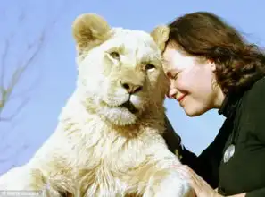 漂亮模特献身白狮营救事业放弃都市繁华生活
