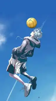 壁纸黑子的篮球
