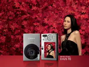 莫文蔚代言佳能ixus的广告海报
