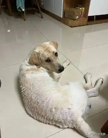 王力宏你怎么不按我的脸色行事
